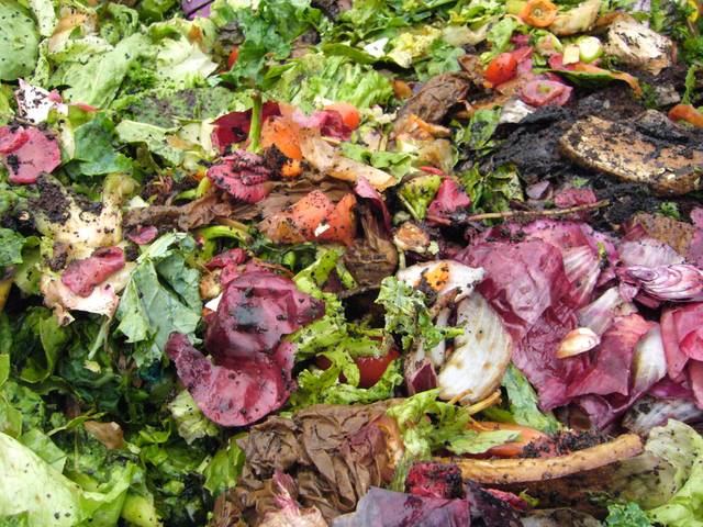 Déchets de cuisine sur le compost