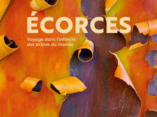 Ecorces, voyage dans l'intimité des arbres du monde