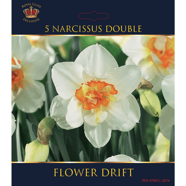 Narcisses Flower Drift (filet)