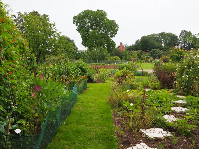 Jardin en permaculture (Université de Liverpool)