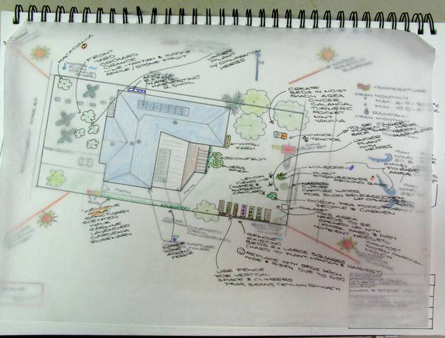 Plan d'un jardin en permaculture