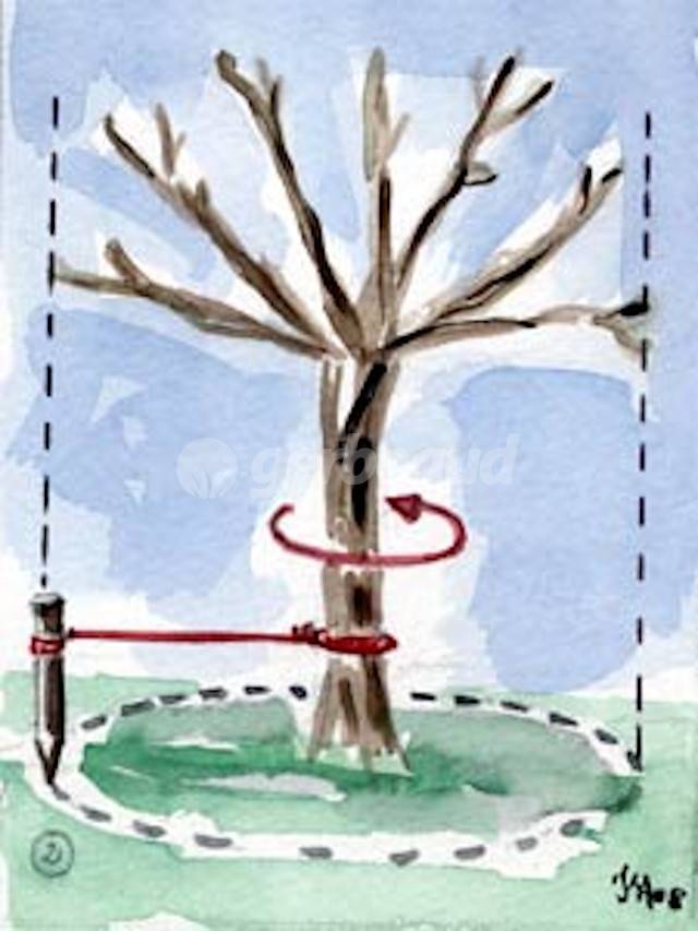 Tracé de la tranchée au sol