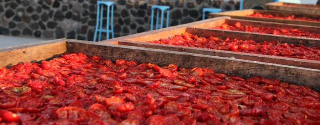 Tomates séchant au soleil