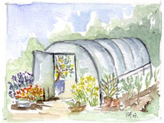 Serre tunnel au potager