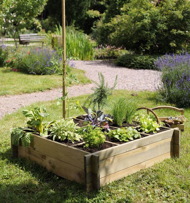 Carré potager classique à 9 cases CARDON