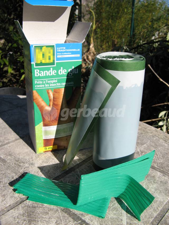 Contenu de la boîte