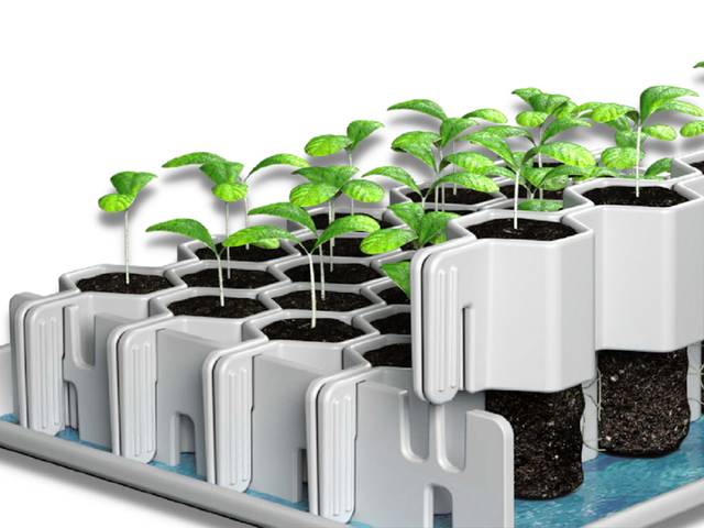 Kit de germination Germie - principe