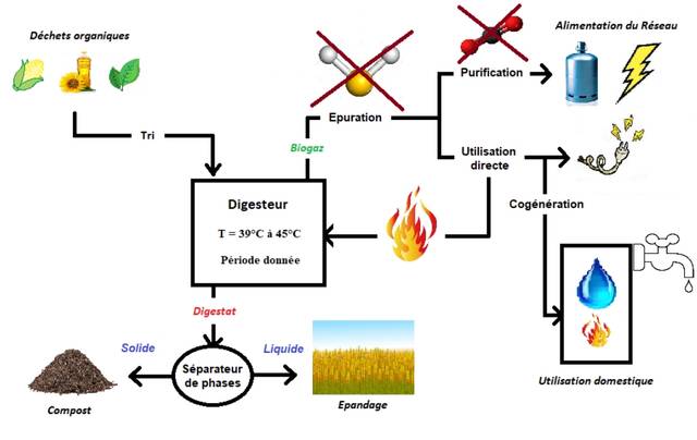 Schéma du processus de production de biogaz