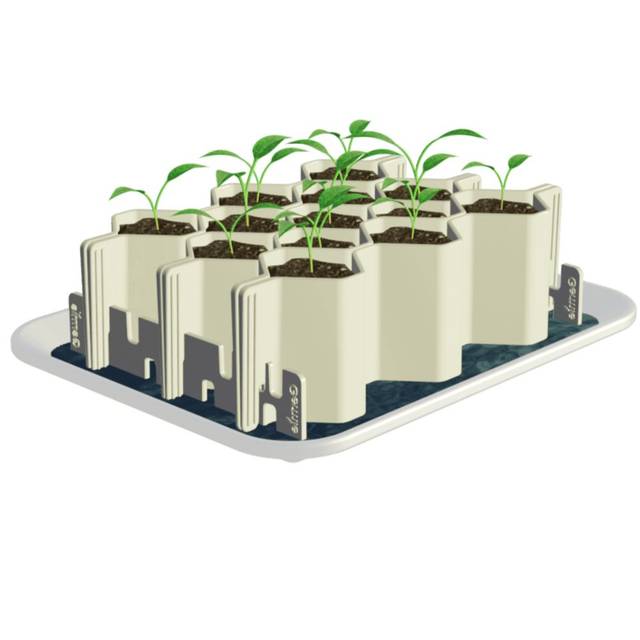 Kit de germination GERMIE - Taille L - 13 alvéoles - Kit (GERMIE)