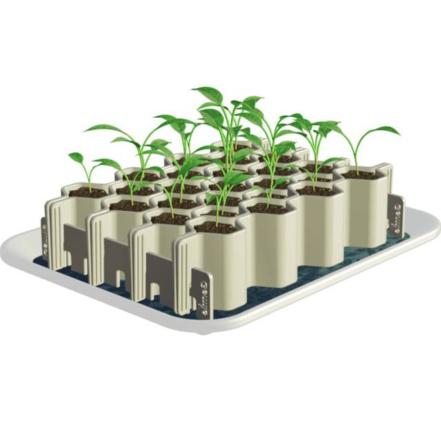 Kit de germination GERMIE - Taille M - 25 alvéoles - Kit (GERMIE)