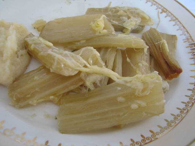Cardons gratinés