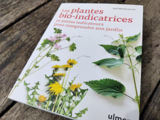 Les plantes bio-indicatrices et autres indicateurs pour comprendre son jardin