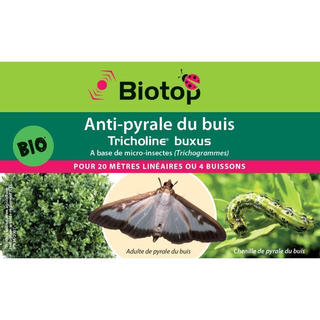 Anti-pyrale du buis -  Tricholine Buxus - 4 diffuseurs