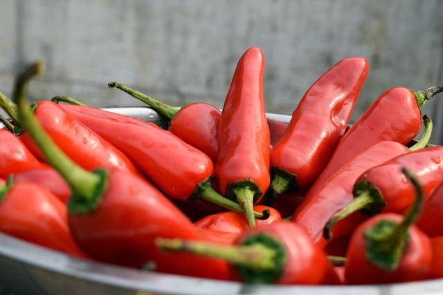 Piments Jalapeño - balouriarajesh / Pixabay