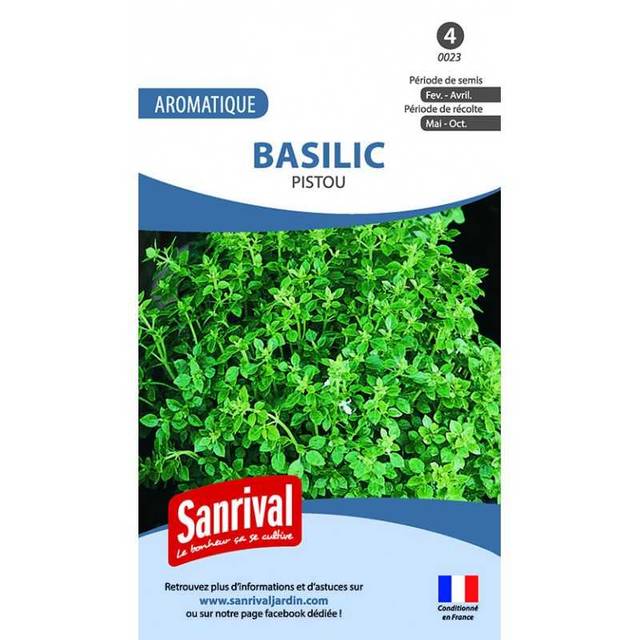 Basilic Pistou