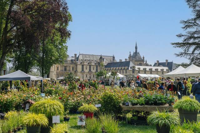 Chantilly - Journées des Plantes 2023