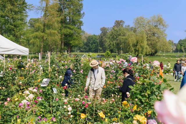 Chantilly - Journées des Plantes 2023