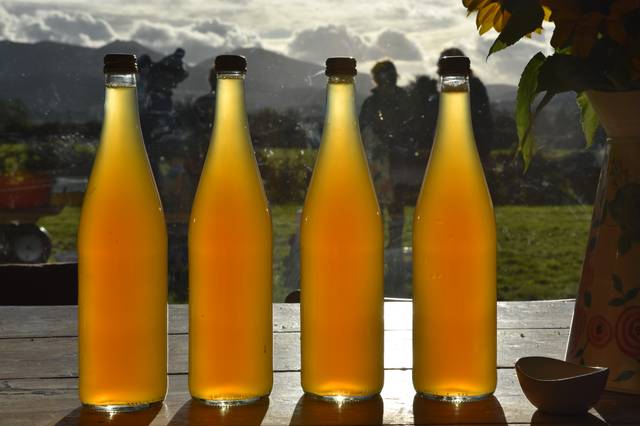 Cidre maison en bouteilles de verre