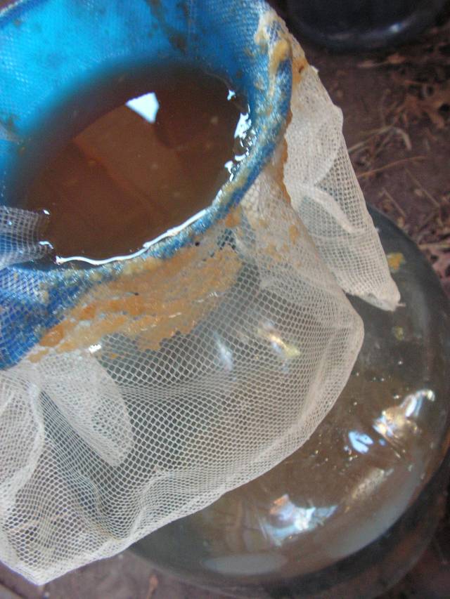 Cidre maison : la filtration