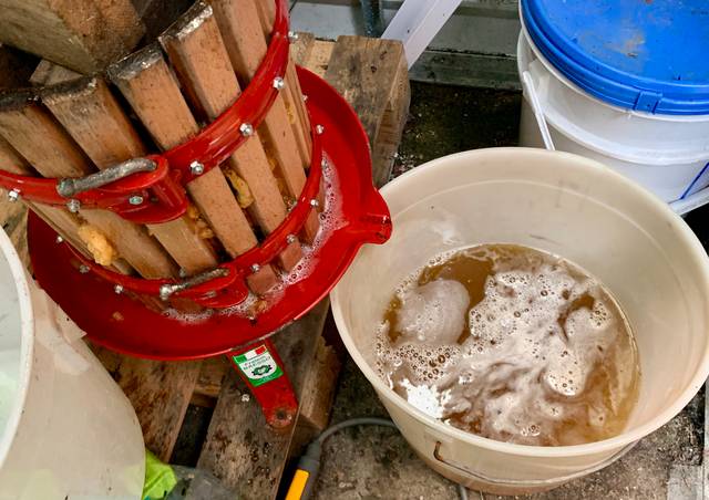 Utilisation d'un petit pressoir pour écraser les pommes et faire son cidre