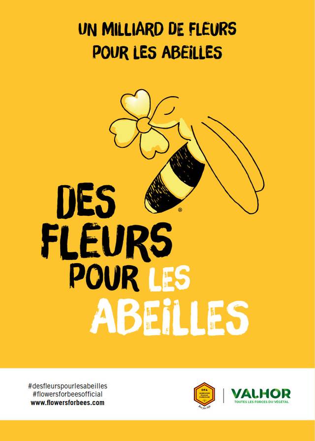 Des fleurs pour les abeilles