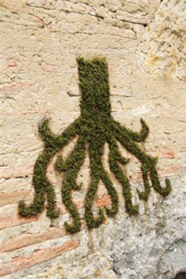 Graffiti de mousse