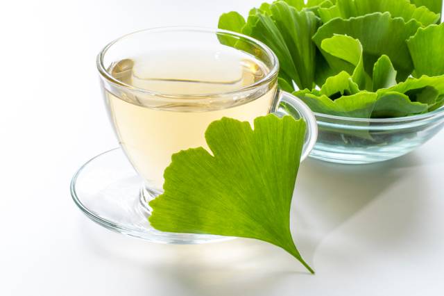 Infusion de feuilles de Ginkgo