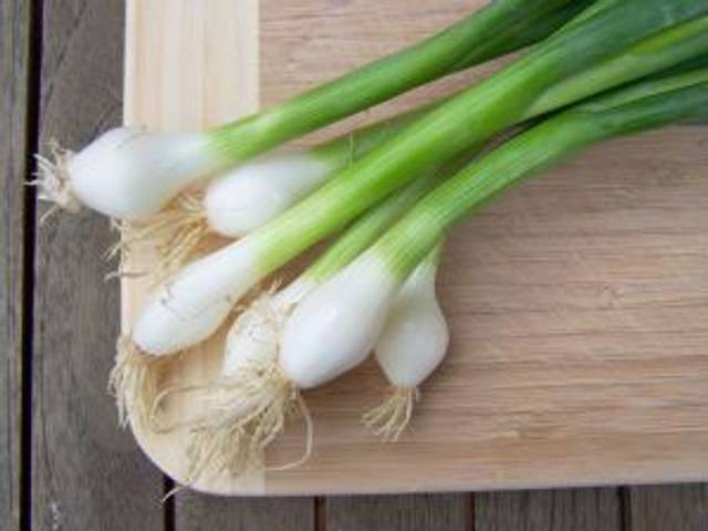 oignons blancs