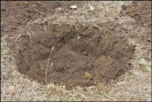 Terre enlevée sur +/-40 cm de profondeur (selon volume de la motte)