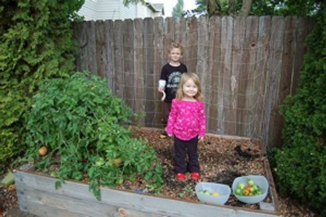 Enfants - Potager en carré