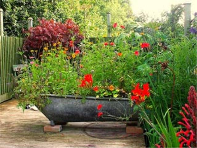 Baignoire en zinc remplie de fleurs