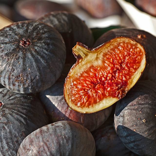 Figuier 'Violette de Solliès' - Ficus carica (INRA DIST / Wikimedia)