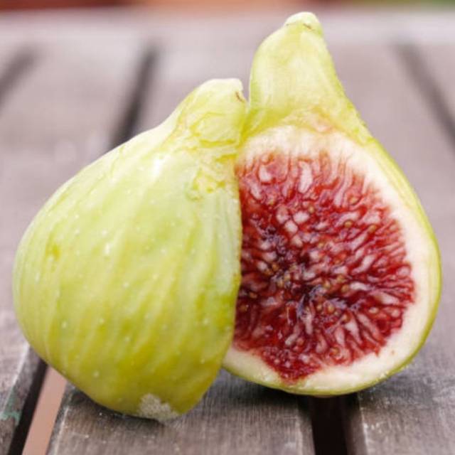 Figuier 'Col de Dame Blanche' - Ficus carica
