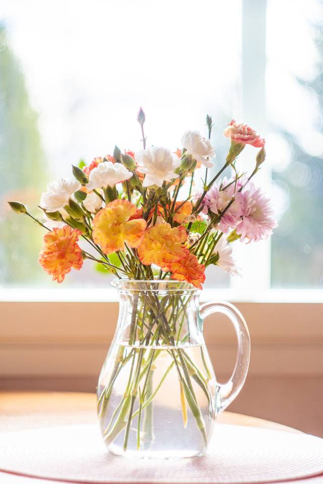 Simple bouquet d'oeillets du jardin