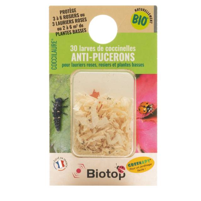 Coccinelles - Coccilaure - 30 larves - Vivapack (Biotop)
