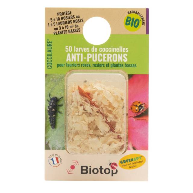 Coccinelles - Coccilaure - 30 larves - Vivapack (Biotop)