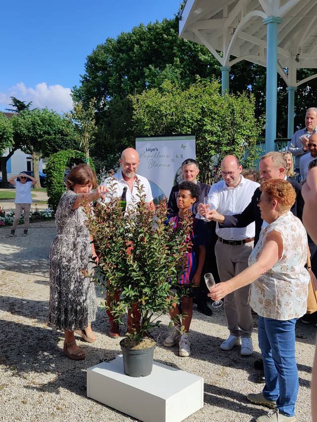 Baptême du Lagerstroemia 