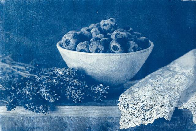 Cyanotype