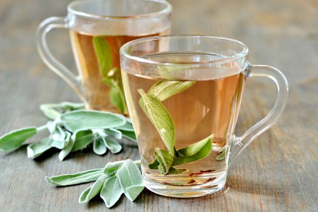Infusion de sauge (Salvia officinalis)