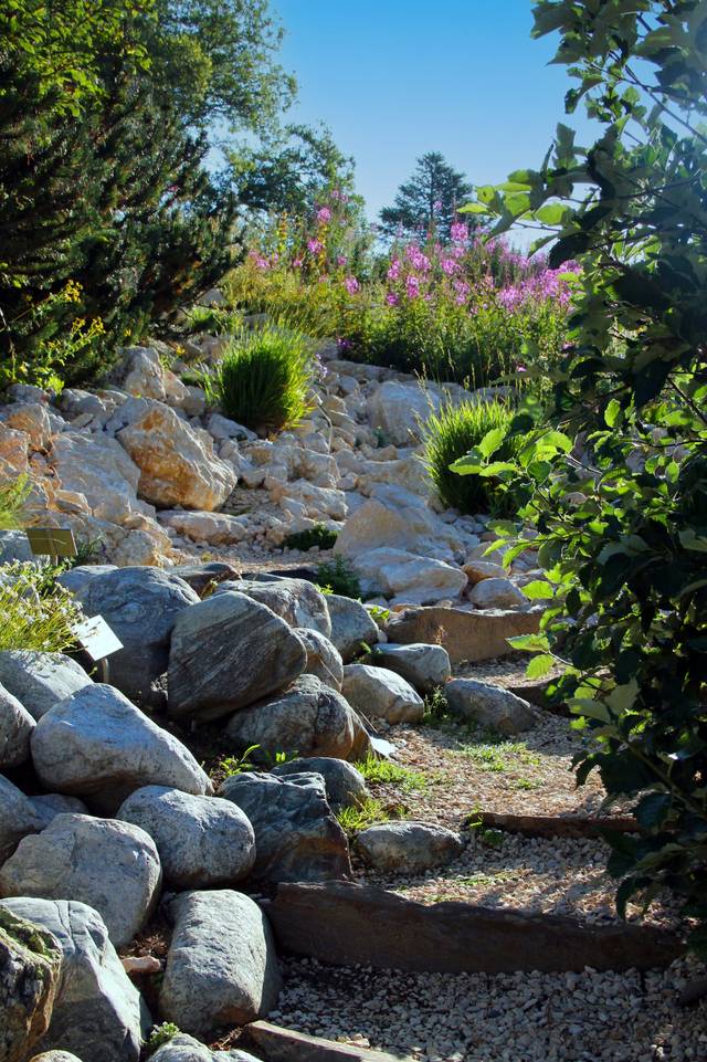 Jardin du Lautaret : massif en escalier
