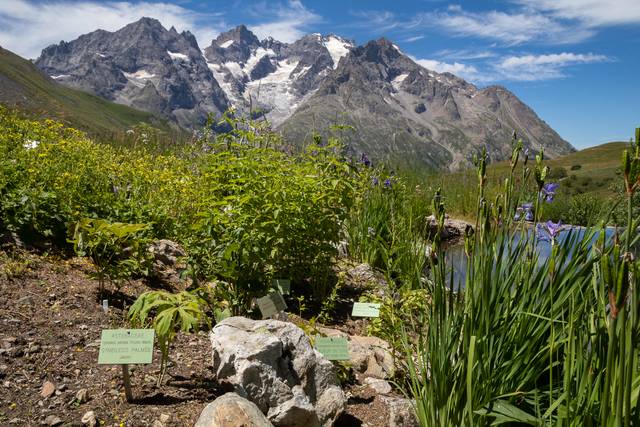 Jardin du Lautaret : vue sur la Meije à gauche du ponton
