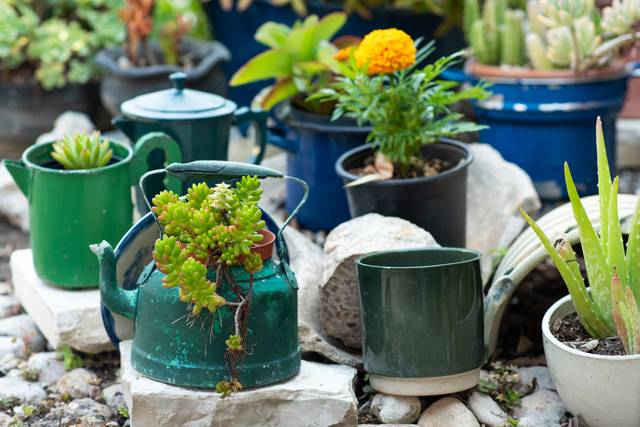 Pots récup au jardin