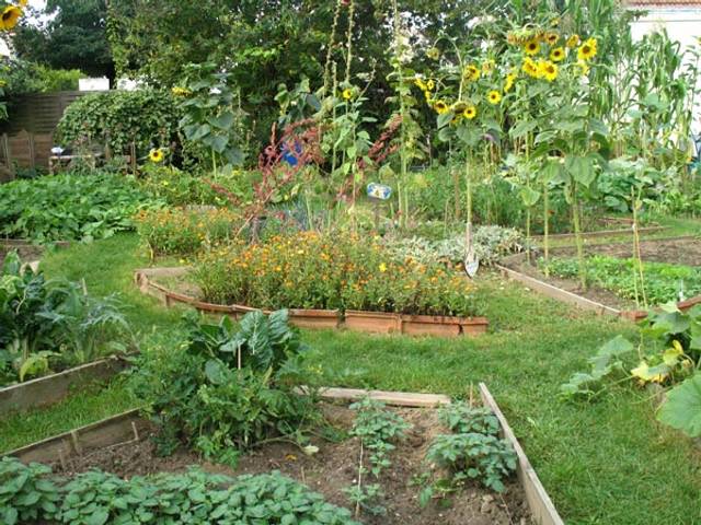 Potager paysager