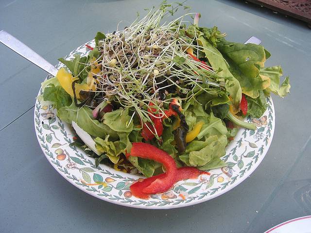 Salade composée avec jeunes pousses