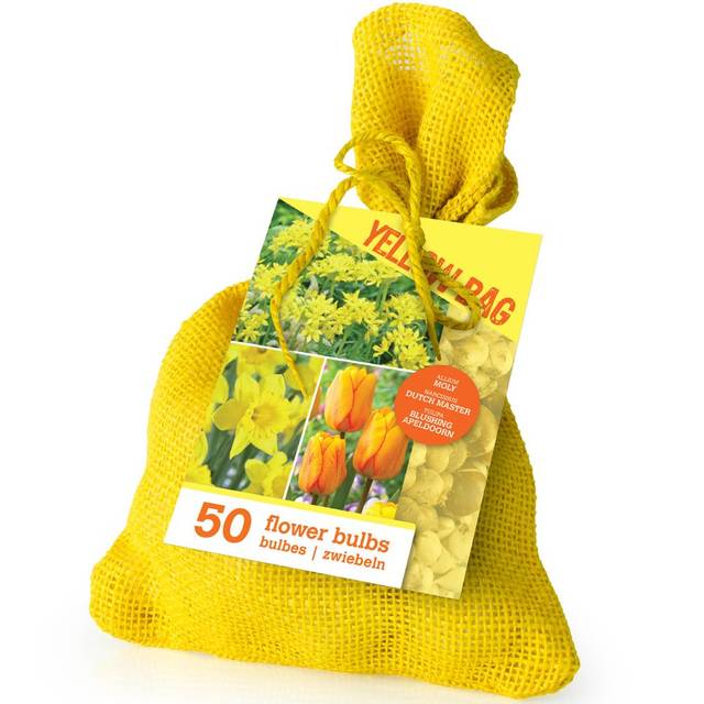 Colour Bag Jaune