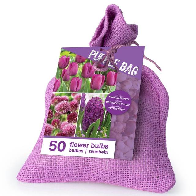 Colour Bag Mauve