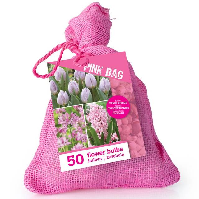 Colour Bag Rose