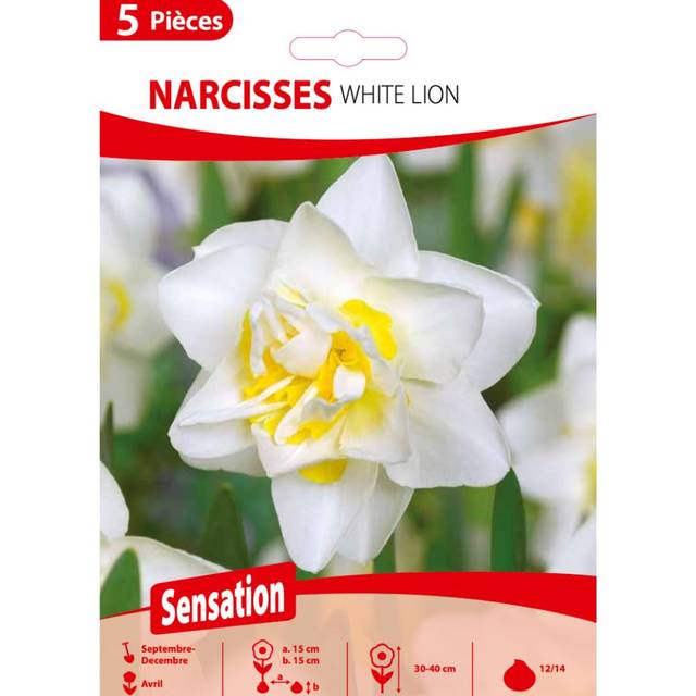 Narcisse White Lion
