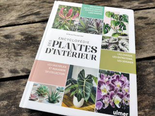Encyclopédie des plantes d'intérieur
