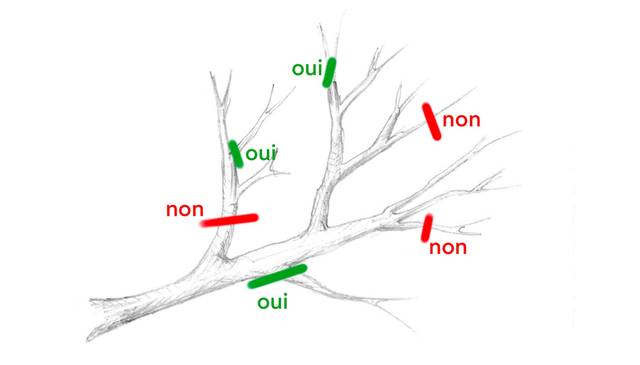 Suppression totale des éléments